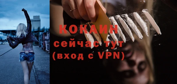 спайс Богородск