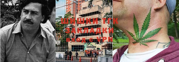 прущий лед Богданович