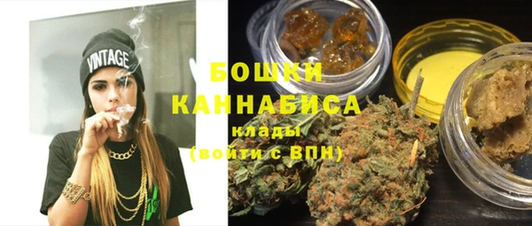 прущий лед Богданович
