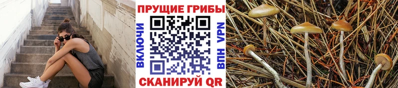 Галлюциногенные грибы ЛСД  ссылка на мегу ССЫЛКА  это Telegram  Видное 